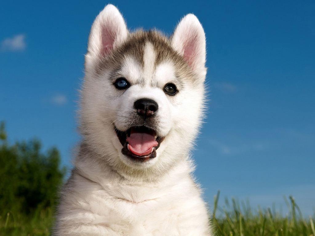 最新毛地址揭秘,探索与科普之旅