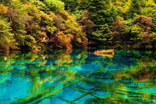 九寨沟最新伤亡情况概述及伤亡报告更新