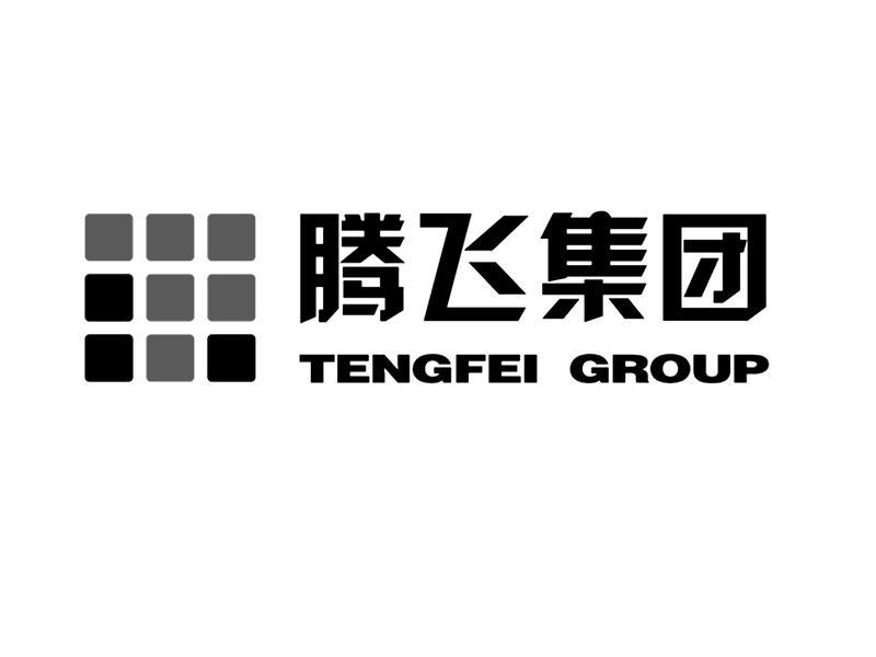 河南腾飞集团最新动态与消息速递