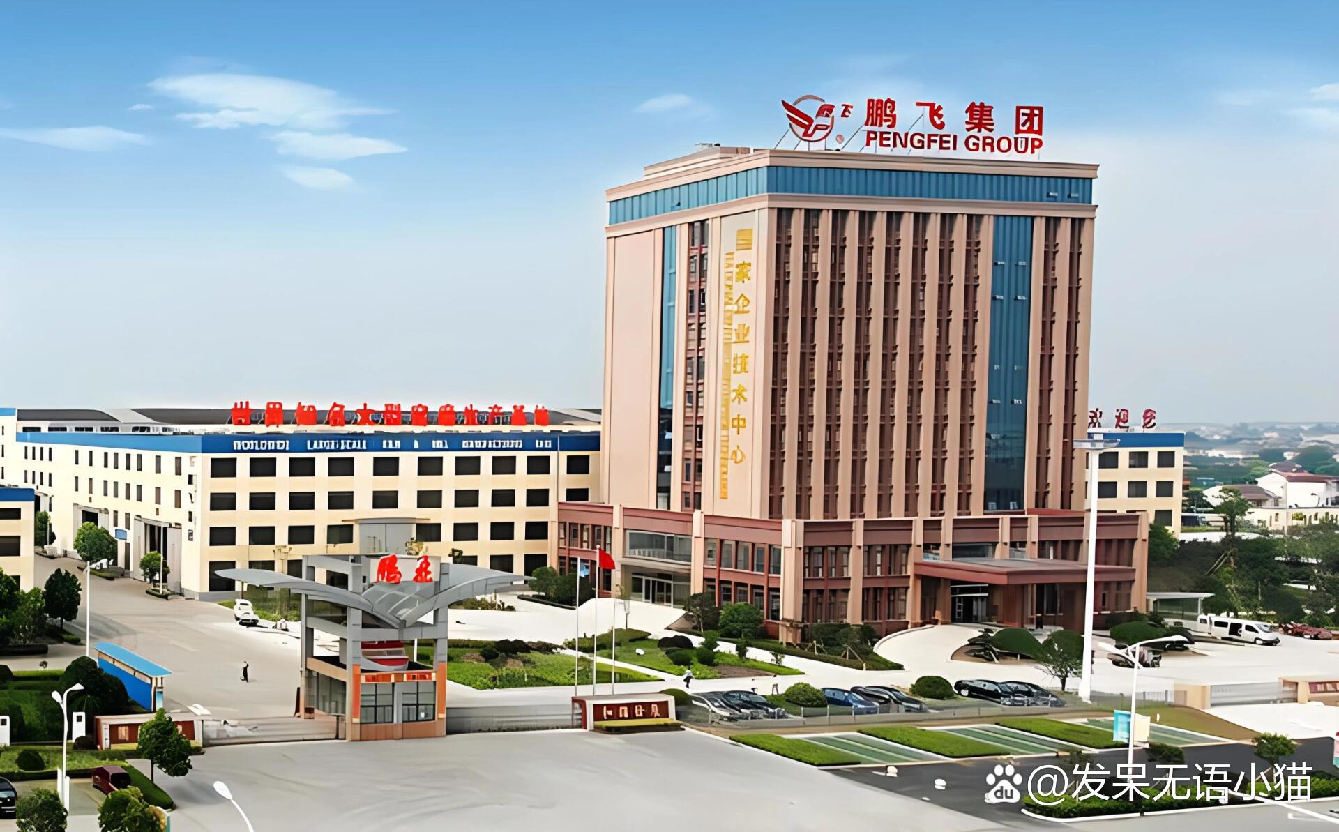 河南腾飞集团最新动态与消息速递