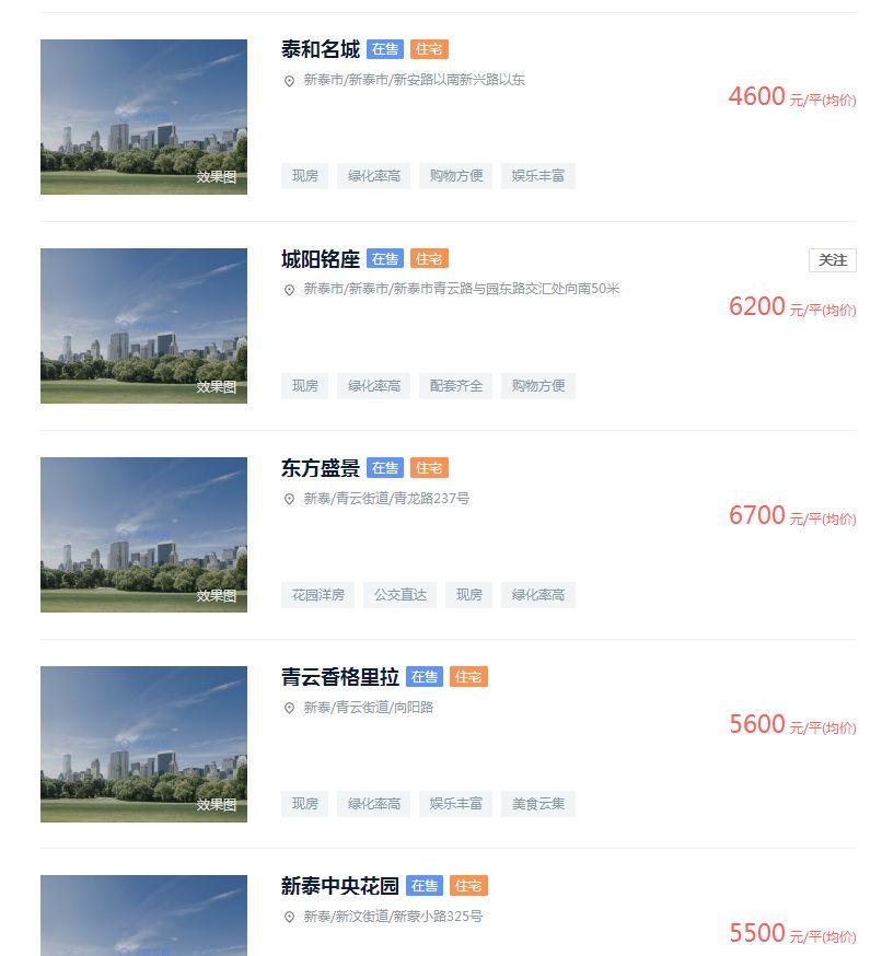 山东白菜最新价格揭秘!🥬✨