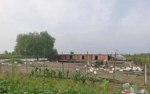 苏州黄埭各厂最新招聘,轻松探索自然美景的旅程