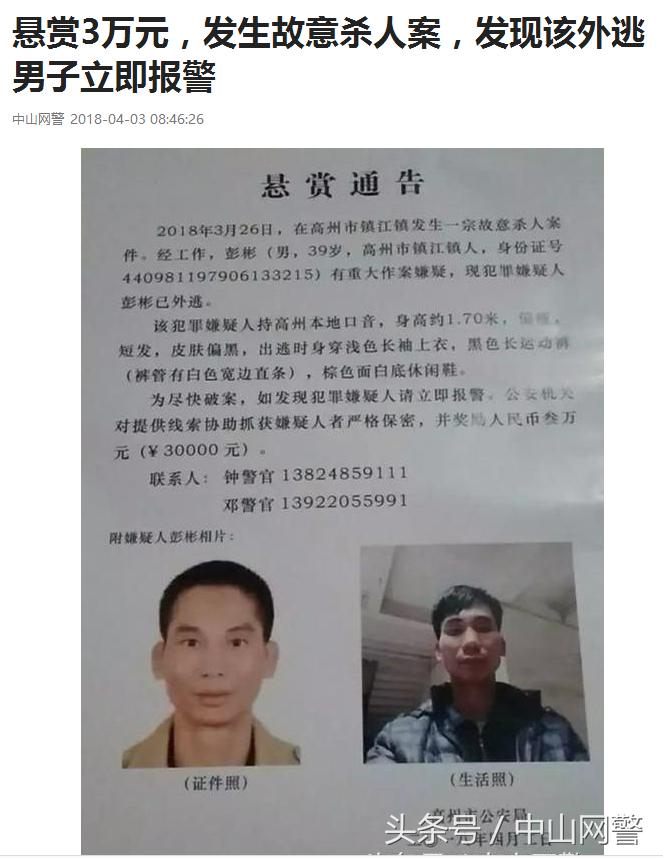 最新高州命案深度剖析