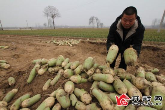 螺纹钢现货行情下的温情故事