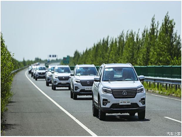 汽车最新价格探索,一段温馨的寻车之旅