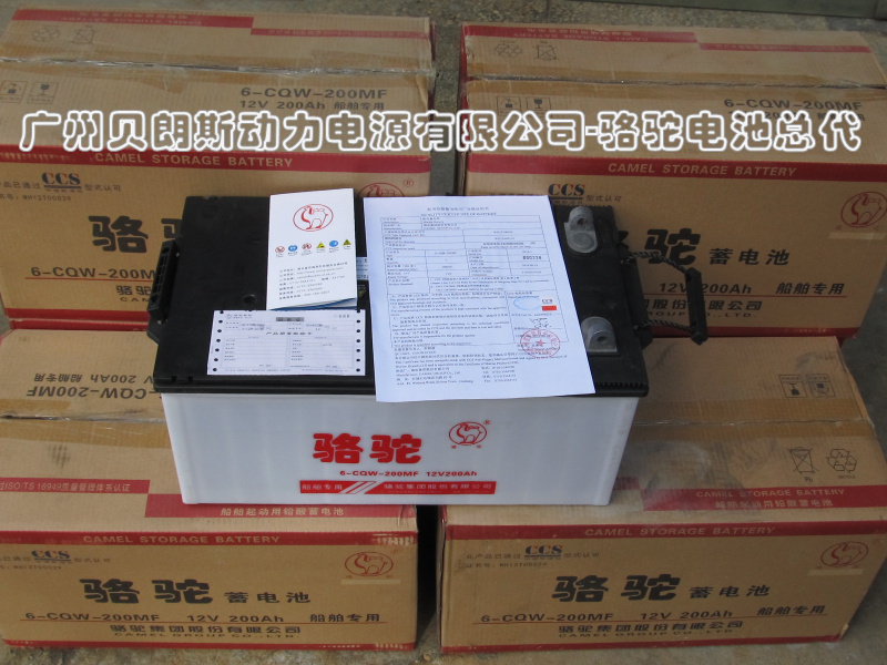 骆驼电瓶12V价格大全与购买指南