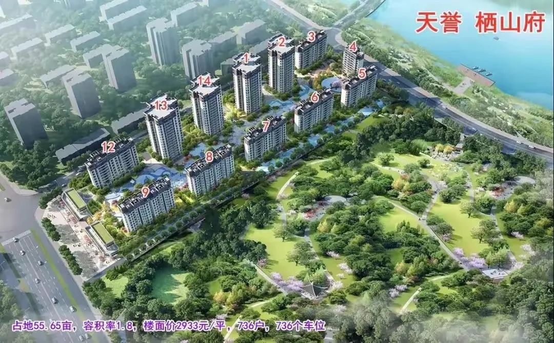 安岳南山郡最新动态大全,全面指南与步骤详解