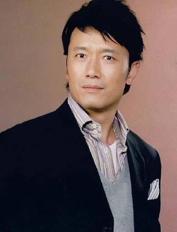 苗乔伟主演电视剧,荧幕上的璀璨之星✨