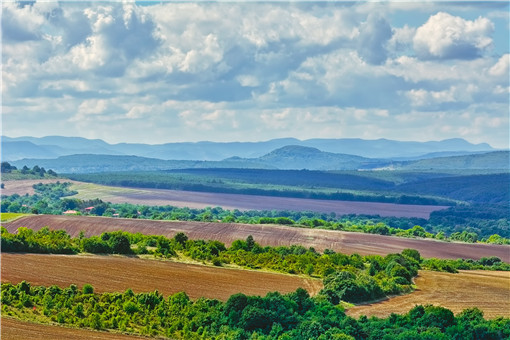 最新余干土地出售流程及购买指南
