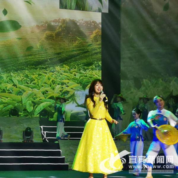 杨钰莹,音乐界的璀璨明星之光