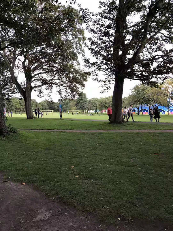 生存之民工演员表,展现变化、学习与自信的力量之旅