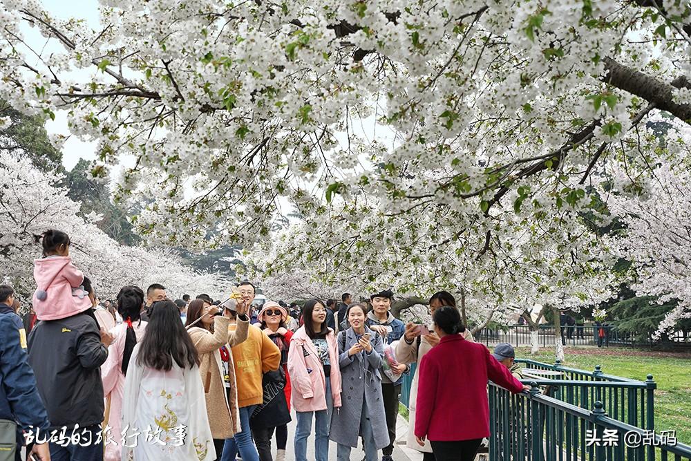 北京中山公园门票价格详解及指南