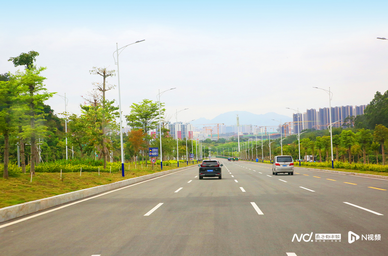 潼湖江南大道最新动态与温馨日常体验