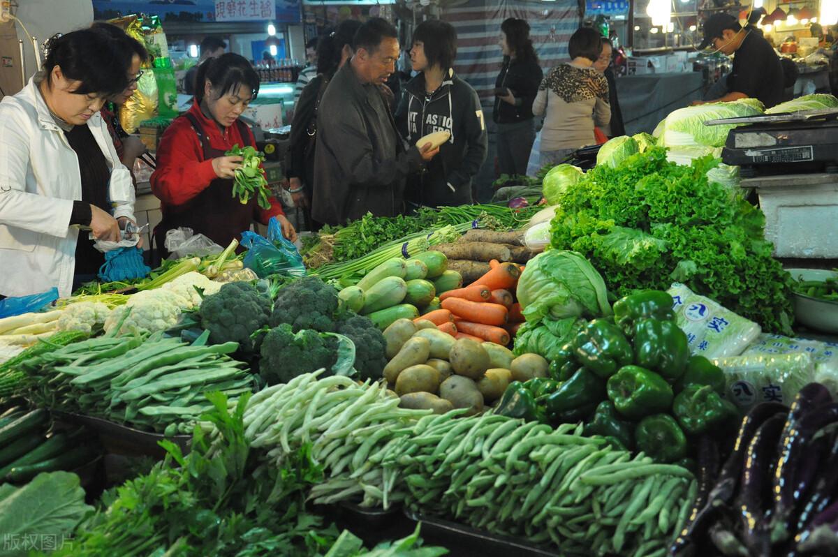 小黄瓜行情分析与交易策略指南