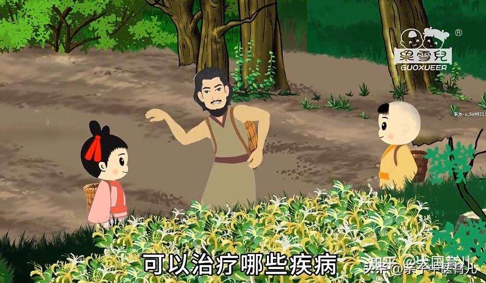 小神农传奇最新篇章,与自然美景的奇幻之旅