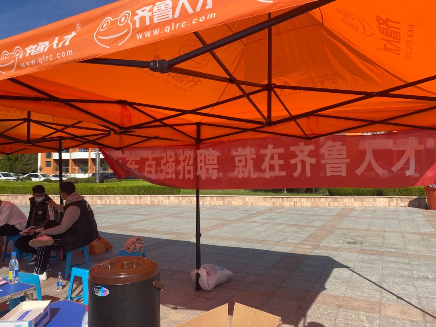 哈市最新招聘信息全面概览