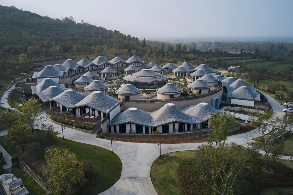 最新好评电视剧,心灵与自然的奇妙之旅