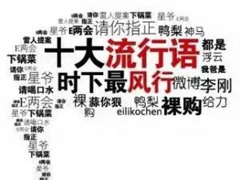 流行语背后的语言魅力与变迁,最新台词揭秘
