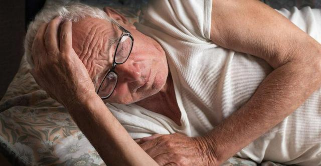 摩托罗拉新款手机,爱的纽带与日常乐趣的完美结合