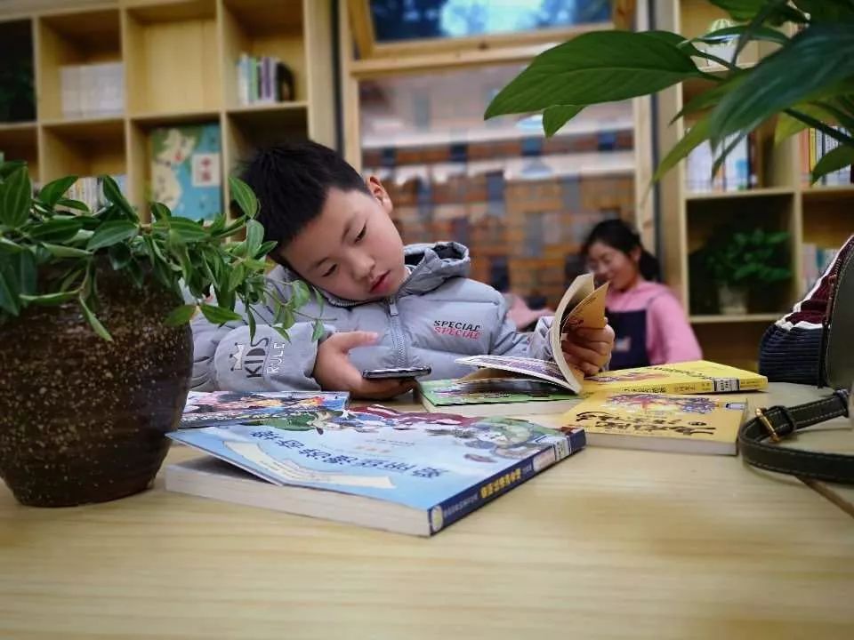 最新图书,开启一段温馨的阅读之旅