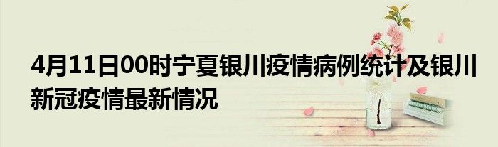 银川疫情最新更新,最新动态与状况概述