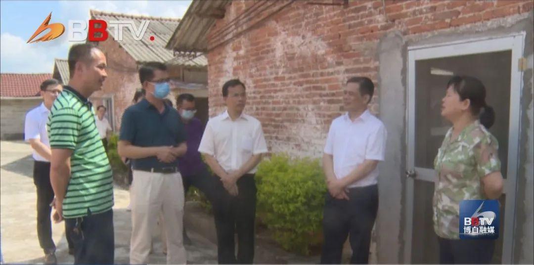 最新养蛇视频揭秘,探索神秘的蛇类世界!