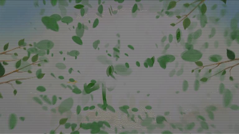 人工肾最新进展,未来科技引领生命重塑之旅