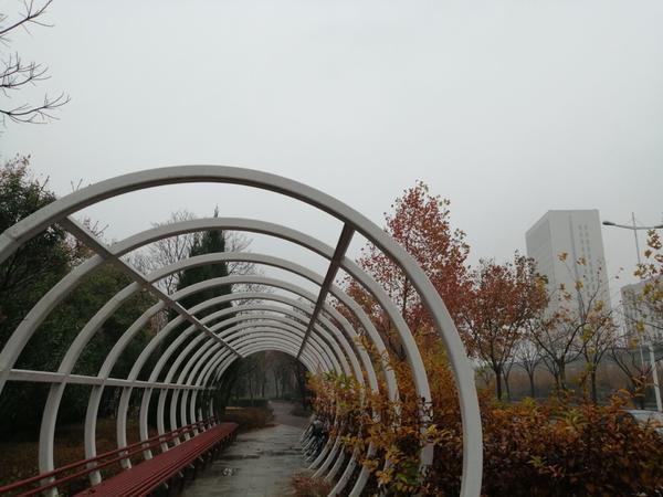 最新商丘天气预报获取指南