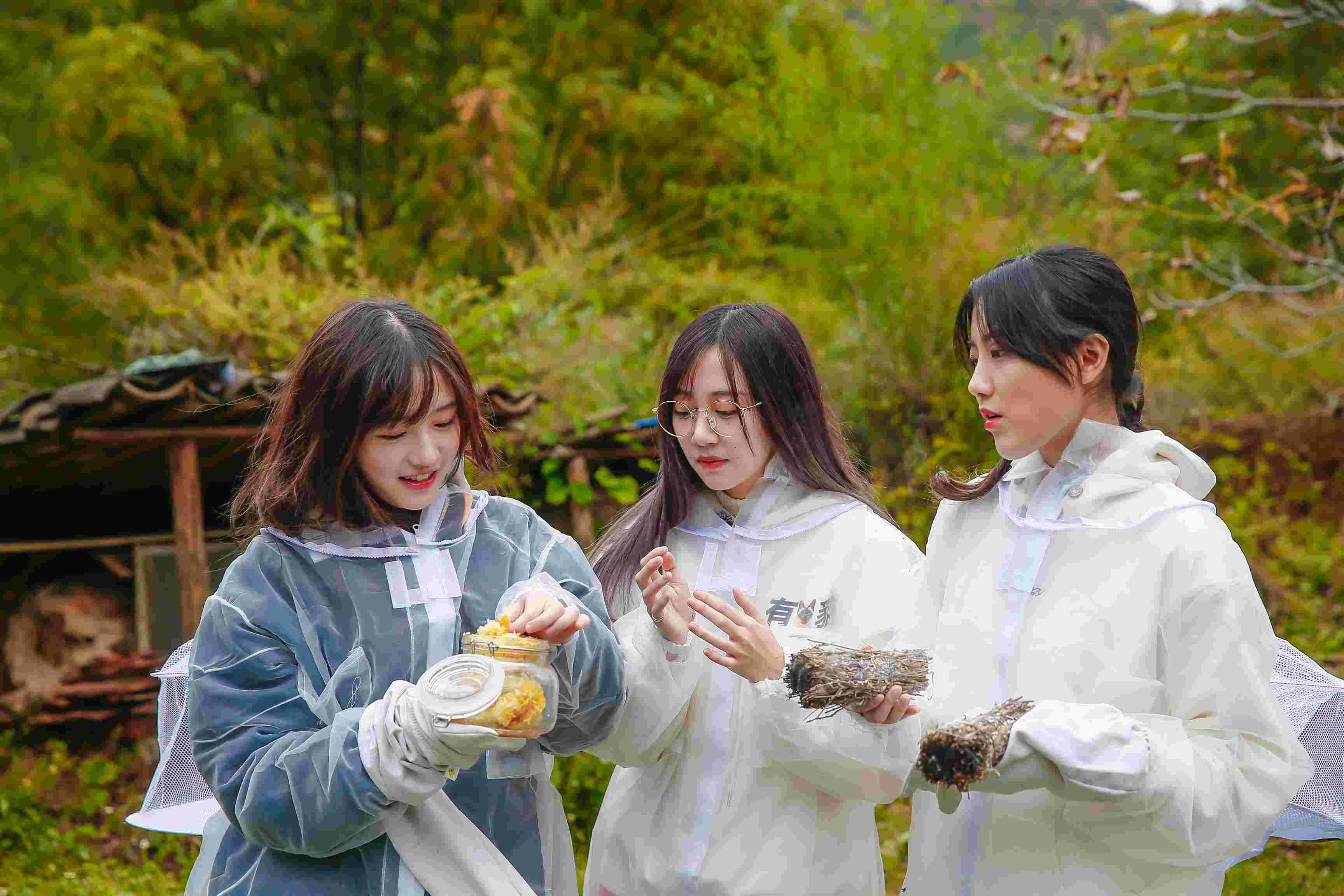 最新捕鱼游戏,探索自然美景的治愈深海冒险之旅