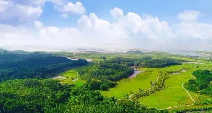 冀南新区,自然美景探索之旅,心灵洗涤与重生之旅