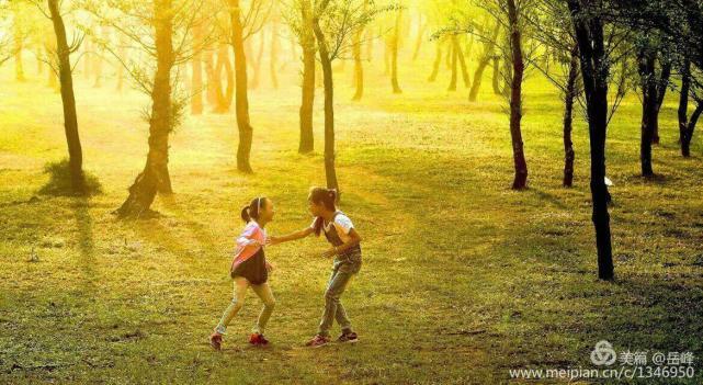 久草视频最新,自然之旅,寻找内心的平和绿洲