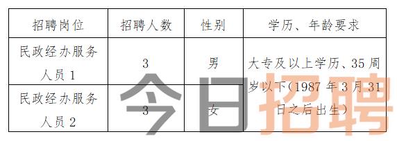 偃师最新招聘信息全面概览