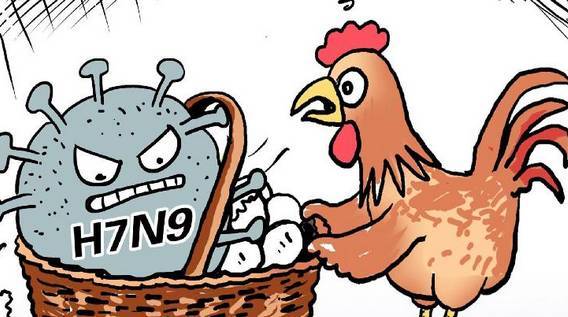 最新禽流感,你需要知道的关键信息🦆🔥