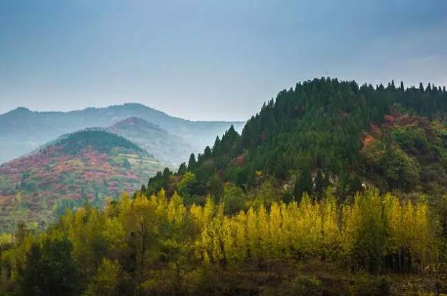 平阴最新探索之旅,自然美景的迷人之旅
