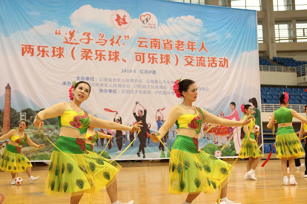 揭秘套路直播最新版,玩转直播新风尚的魅力秘籍!