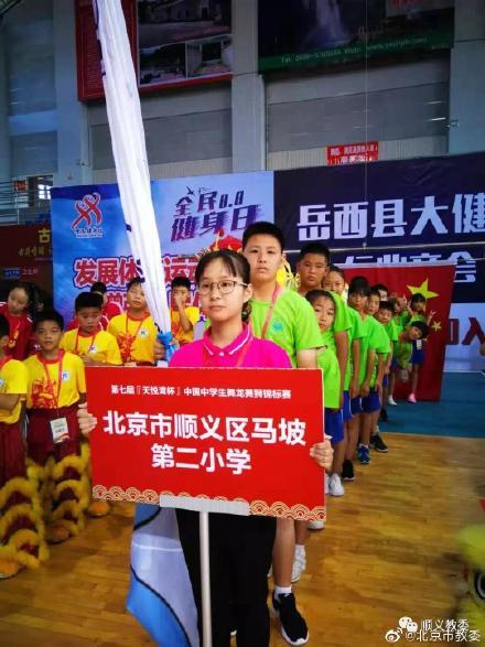 揭秘套路直播最新版,玩转直播新风尚的魅力秘籍!