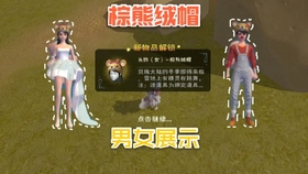 创造与魔法最新兑换码获取与使用详解攻略揭秘!