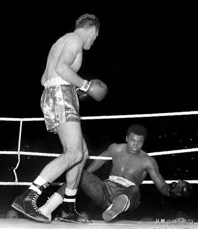 最新拳击热血激战,谁将问鼎拳坛的荣耀之战?