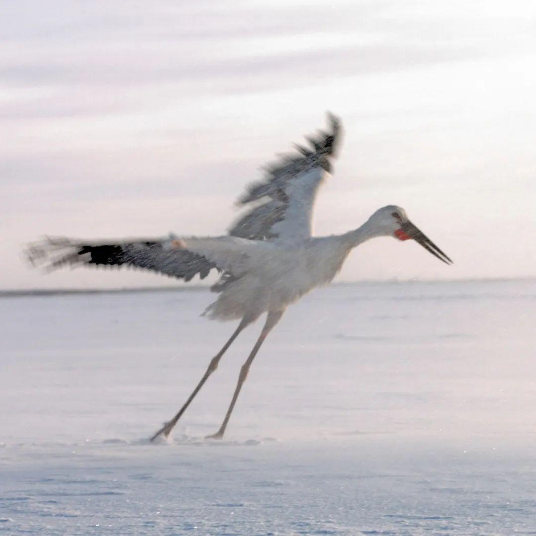 飞机时刻表更新,一次空中的温情邂逅
