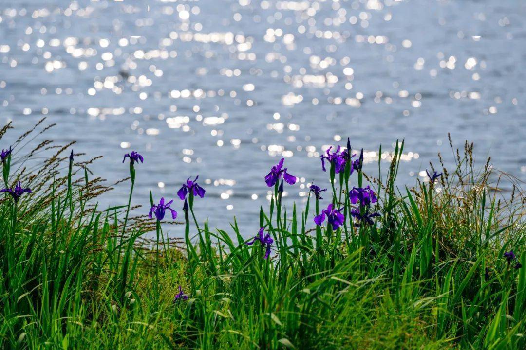 沃尔玛招聘网最新职位开放,开启快乐工作之旅