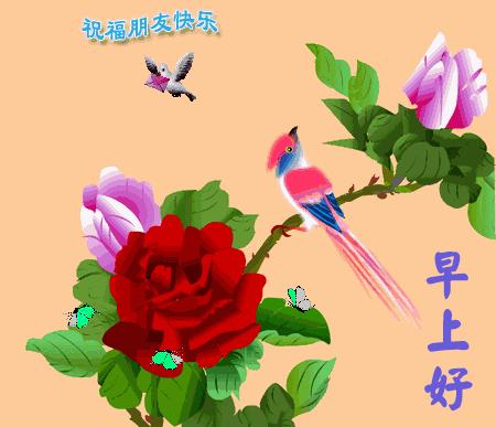 健康最新资讯,自然之旅探寻内心平和与喜悦