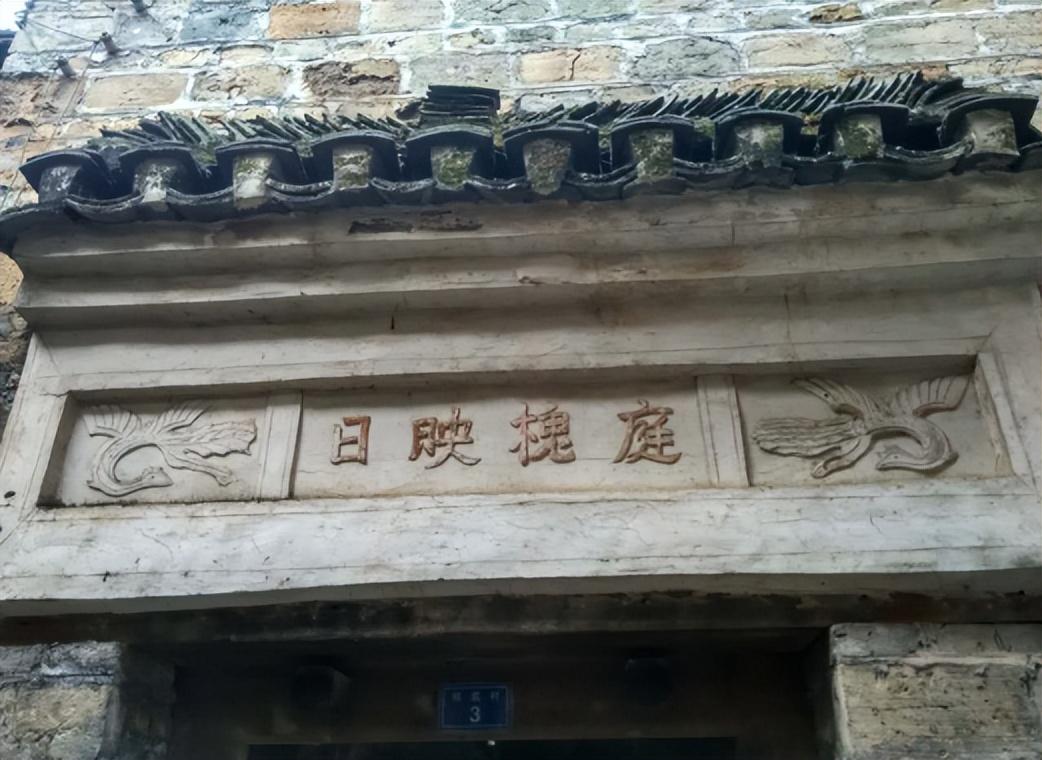 全州新闻最新动态,小巷深处的独特风味