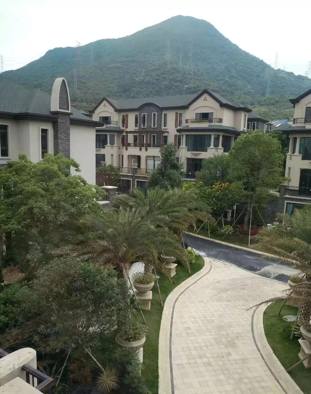 获取最新域名的详细步骤指南,从入门到精通的指南