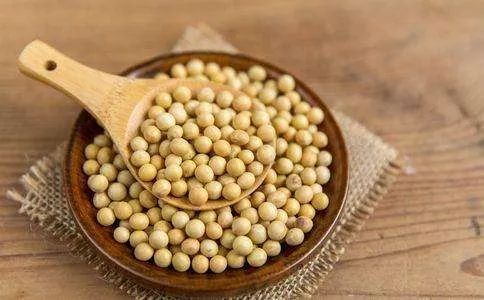 今日大豆价格动态与小巷中的特色小店探寻之旅