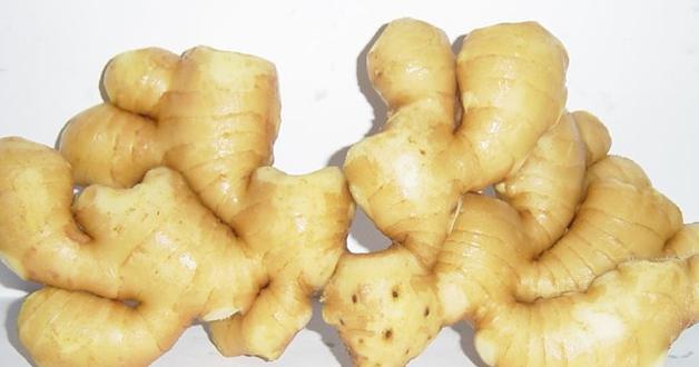 生姜价格最新行情详解,获取与分析价格信息的全面指南