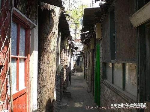 最新部编版,小巷深处的隐藏瑰宝