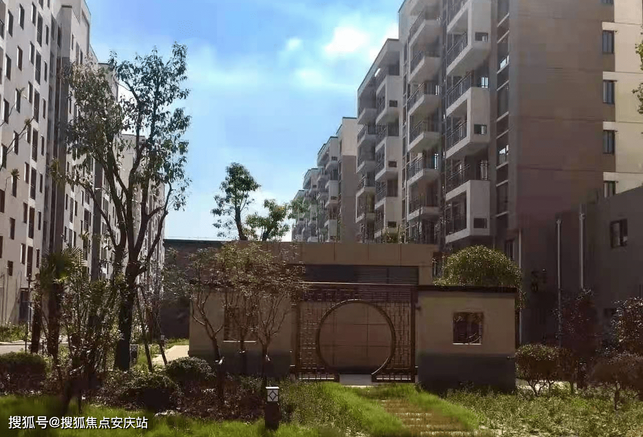 阿根廷最新名单详解,步骤指南与最新更新