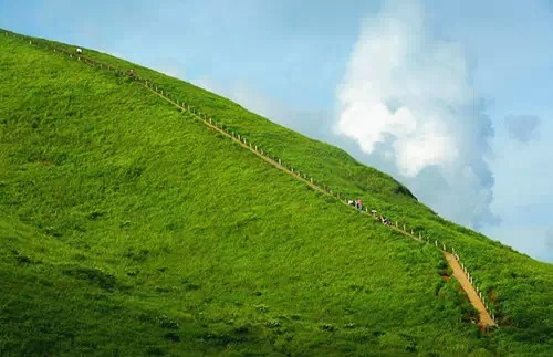 萍乡最新招聘信息,启程探索自然美景,寻找内心宁静的职场之旅