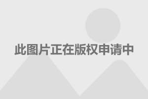 李冰冰最新电影,深度探讨其影响与观点分析