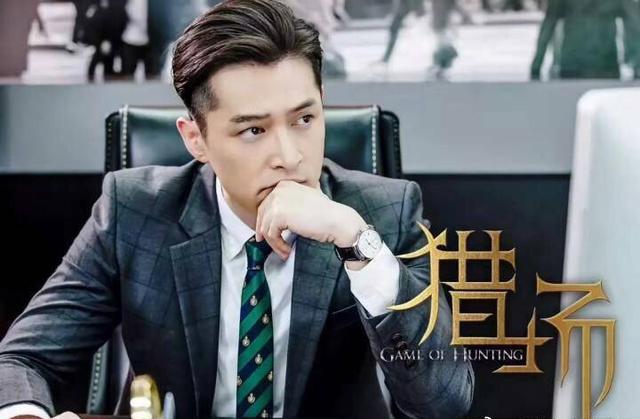 胡歌最新电视剧,深度解析与观点阐述